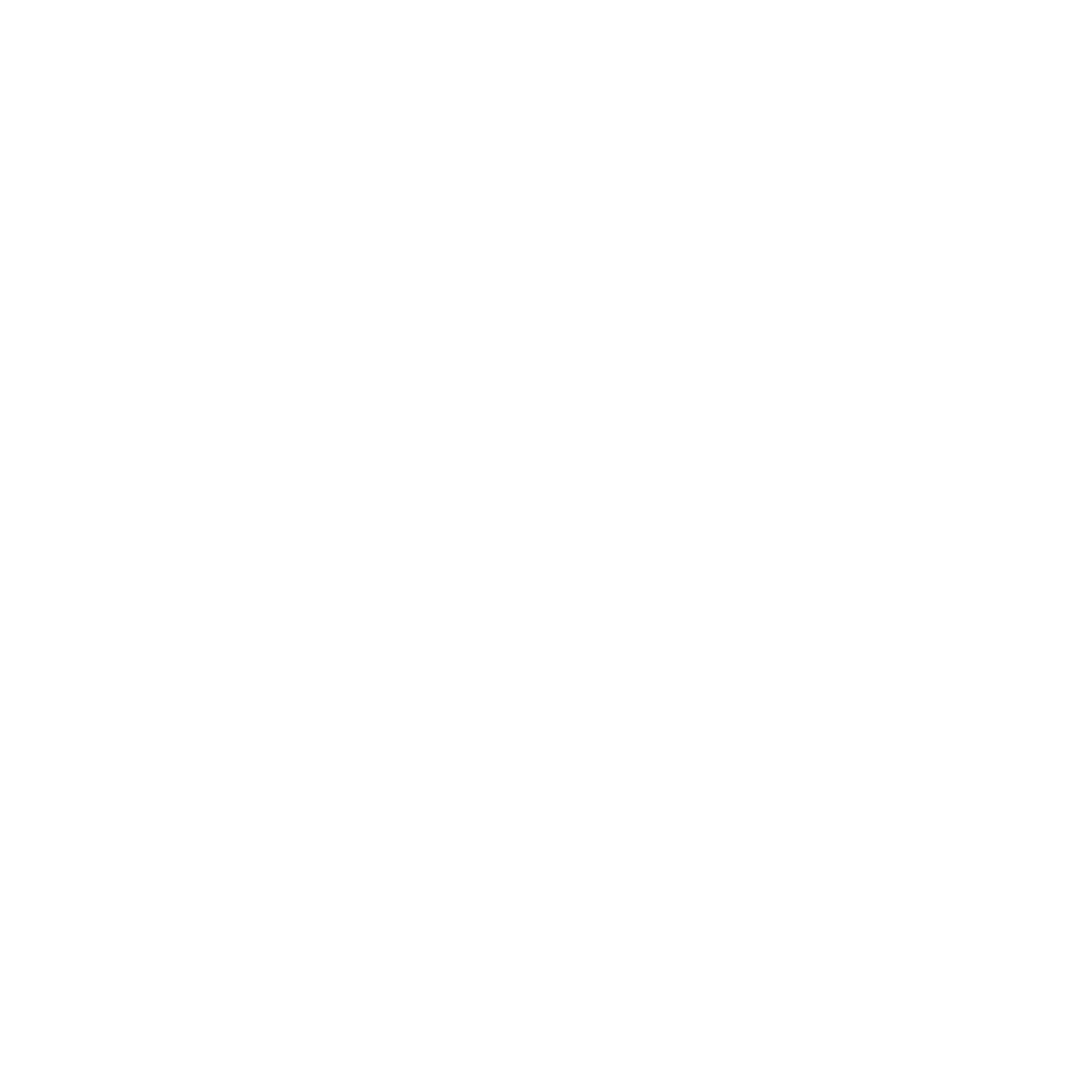 حزب اکثریت افغانستان